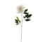 White Peony Stem by Ashland®